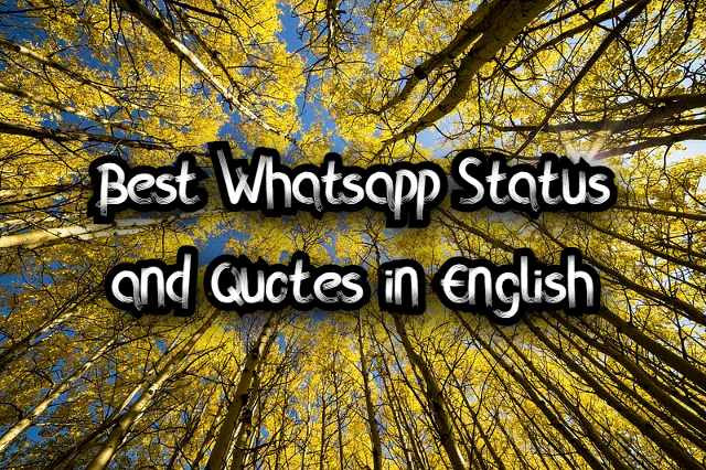 Best Whatsapp Status Quotes in English