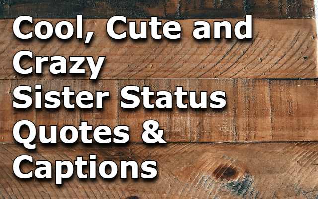 Read more about the article 250+ [Cool, Cute and Crazy] Sister Status & Quotes » Sister Love Status