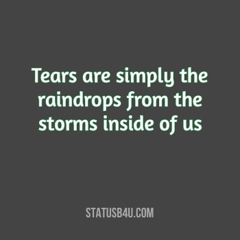Read more about the article 250+ [Best] Tears Status, Quotes & Captions for Whatsapp in English