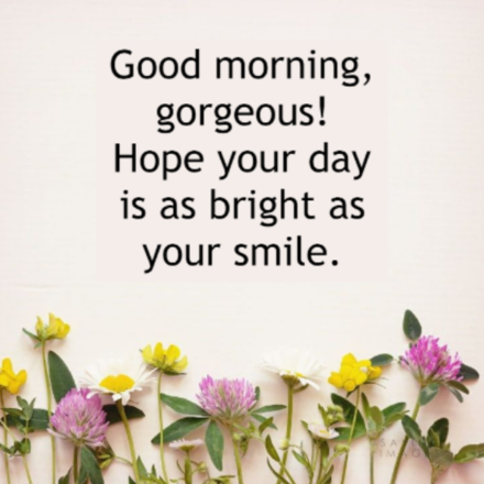 Best Charming Have a Great Day Messages for Her